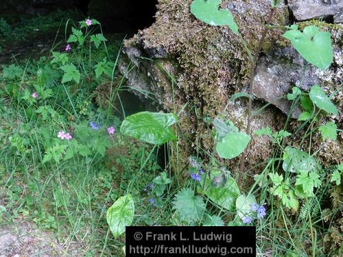 The Caves of Kesh, County Sligo